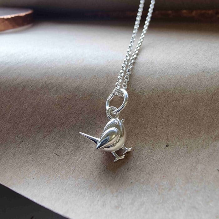 Teeny Mr. Robin Necklace in Sterling Silver *limited edition* - Image 4