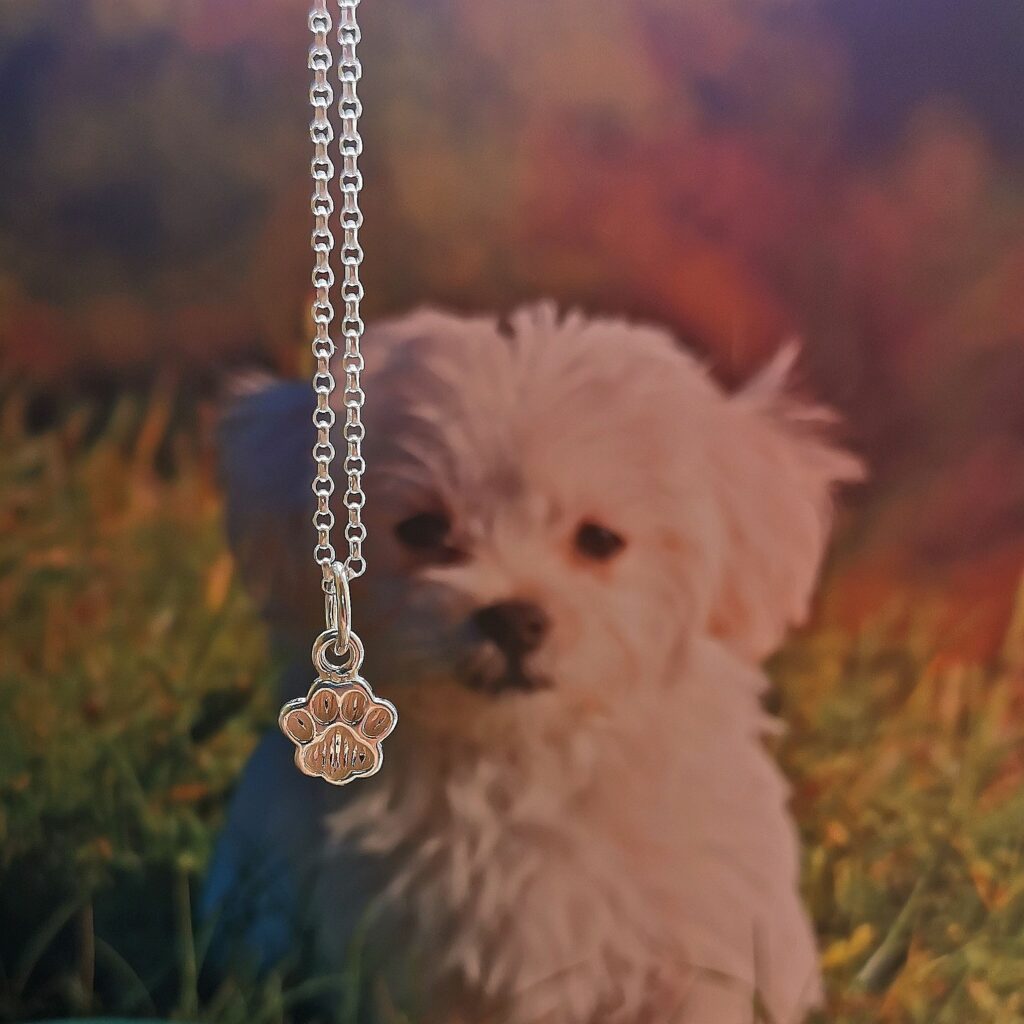 Sterling Silver Paw Necklace with 1 Paw