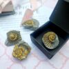 Pyrite ammonite chunk