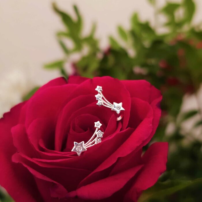 Wish Upon a Shooting Star Studs in Sterling Silver - Secret Special Buy