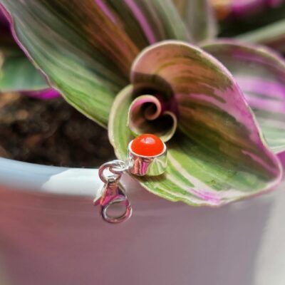 Charm Box Treasure 10- Carnelian Dot