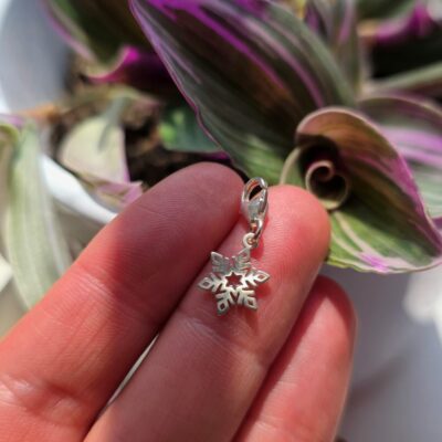 Charm Box Treasure 14- snowflake