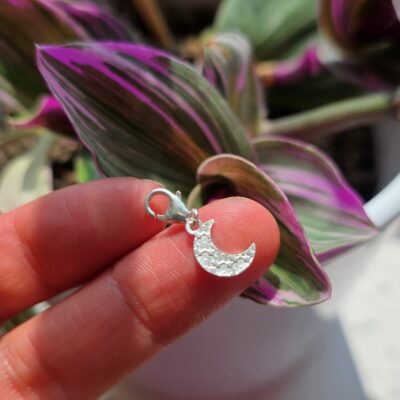 Charm Box Treasure 20- Patterned Crescent Moon