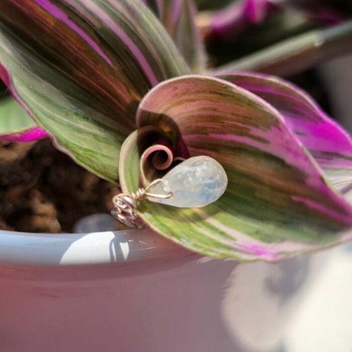 Charm Box Treasure 23- Rainbow Moonstone Teardrop - Image 2