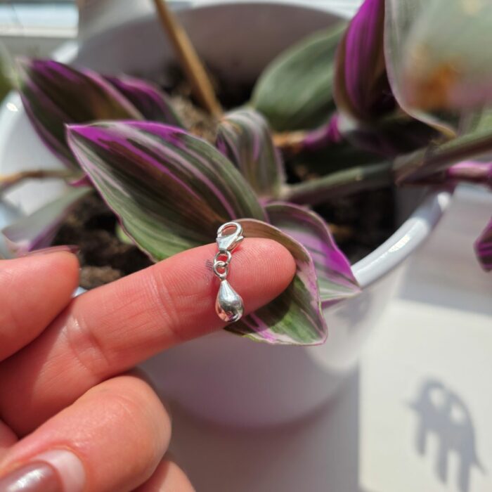 Charm Box Treasure 30- Silver Teardrop