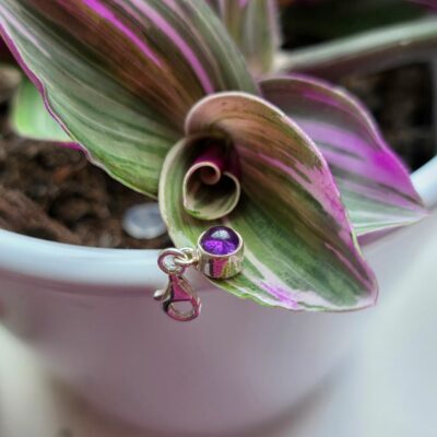 Charm Box Treasure 31- Amethyst Dot