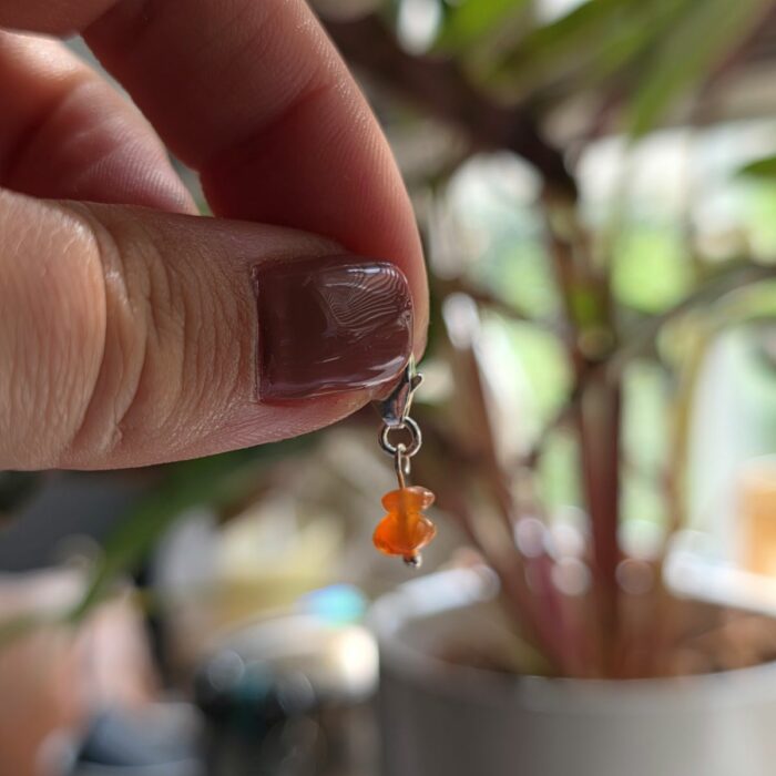 Charm Box Treasure 40- Carnelian Double Dot - Image 2