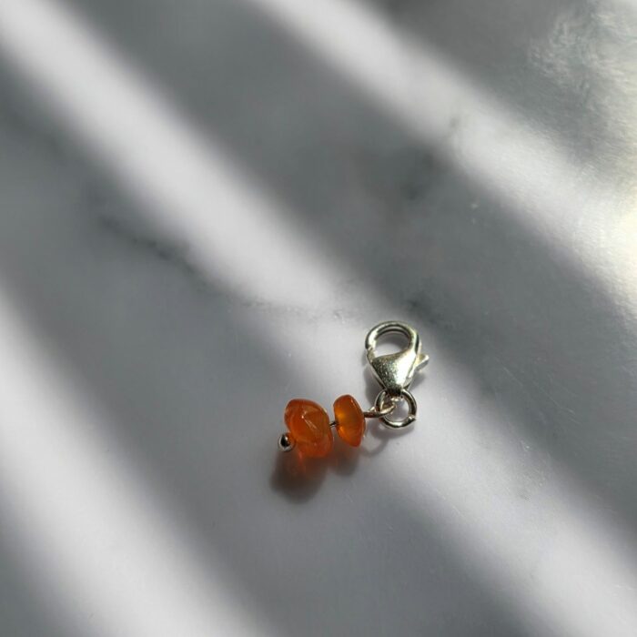 Charm Box Treasure 40- Carnelian Double Dot