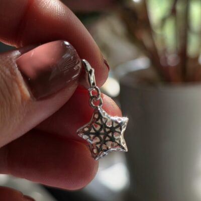Charm Box Treasure 43- Snowflake Star