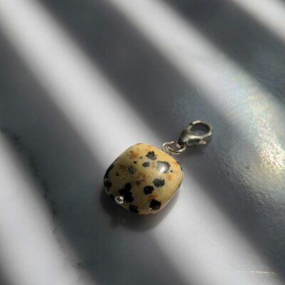 Charm Box Treasure 49- Dalmatian Jasper square
