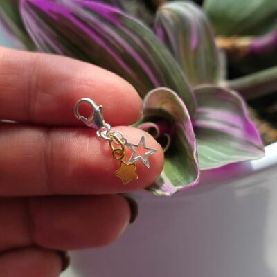 Charm Box Treasure 5 - Silver and Gold Stars
