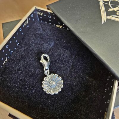 Charm Box Treasure 55 - Silver Daisy