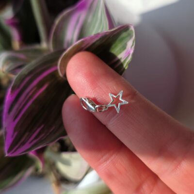 Charm Box Treasure 6- Silver Open Star