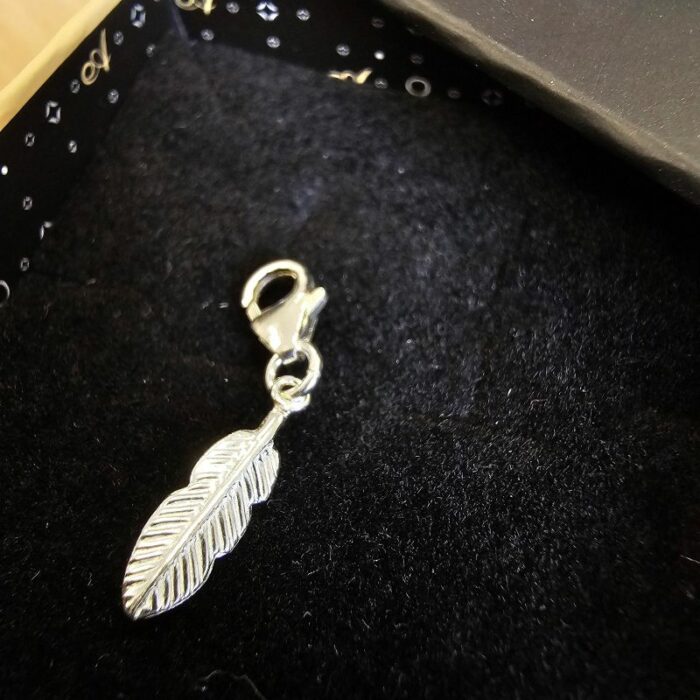Charm Box Treasure 61- Silver Feather - Image 2