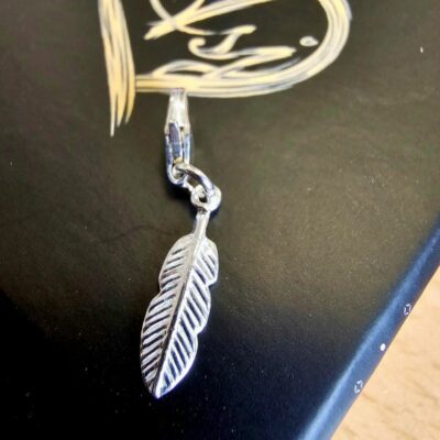 Charm Box Treasure 61- Silver Feather