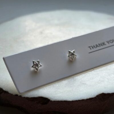 Emerald City Tiny Star Studs - Clear