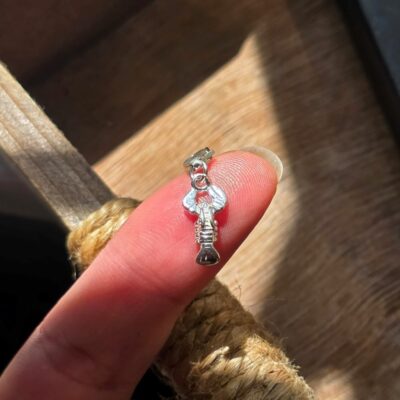 Reef Guardian Lobster Charm in Sterling Silver