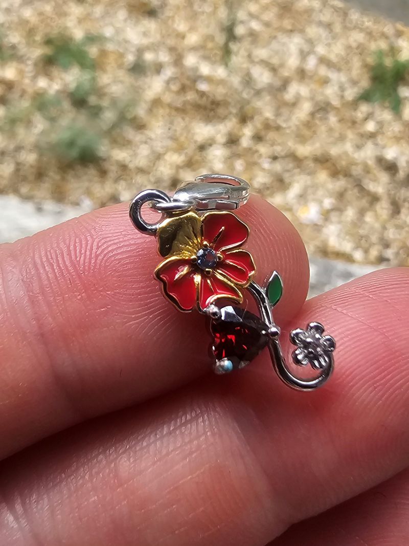 Dear Debbie Inspired Poppy Charm - Book One - Image 2