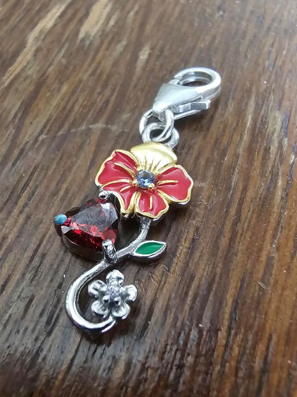Dear Debbie Inspired Poppy Charm - Book One